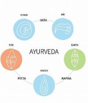 Doshas's elements and attributes