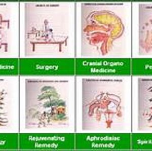 Eight Components of Ayurveda