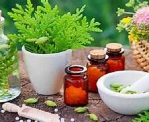 Homeopathy What you need to know