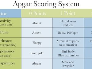 APGAR Scoring System