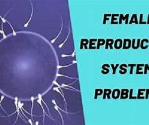 Women's Health Top Reproductive Problems