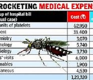 Dengue report negative, yet platelets are decreasing