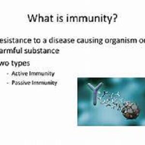 Five steps for benefit of better immunity