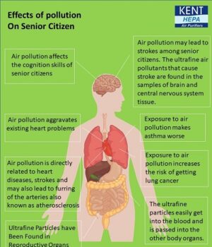 Harmful effects of air pollution