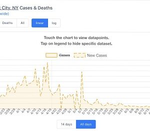 India reports lowest daily Covid cases after 9months