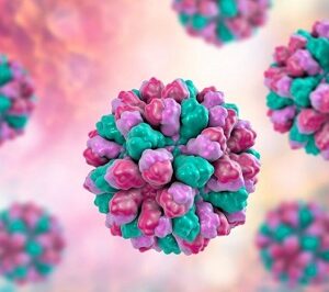 Norovirus cases confirmed in Kerala