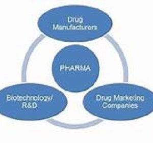 HOW MANY TYPES OF PHARMACEUTICAL COMPANIES ARE THERE KNOW IN DETAILS