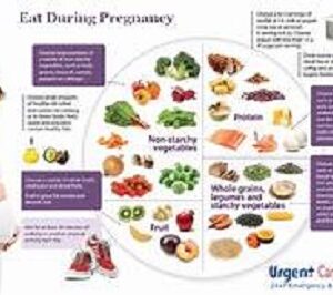 What Should Be Your Diet During Pregnancy