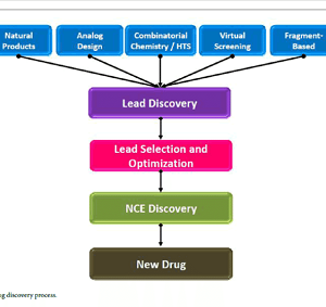 WHAT IS DRUG DISCOVERY