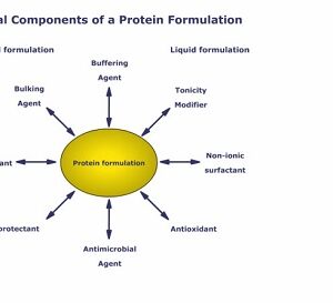 WHAT IS PROTEIN FORMULATION