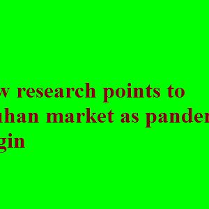 New research points to Wuhan market as pandemic origin